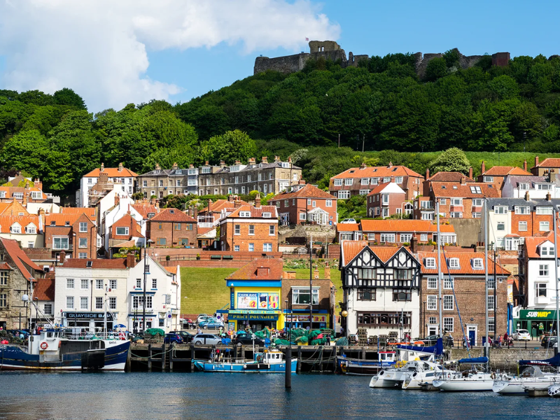 Professional Installation